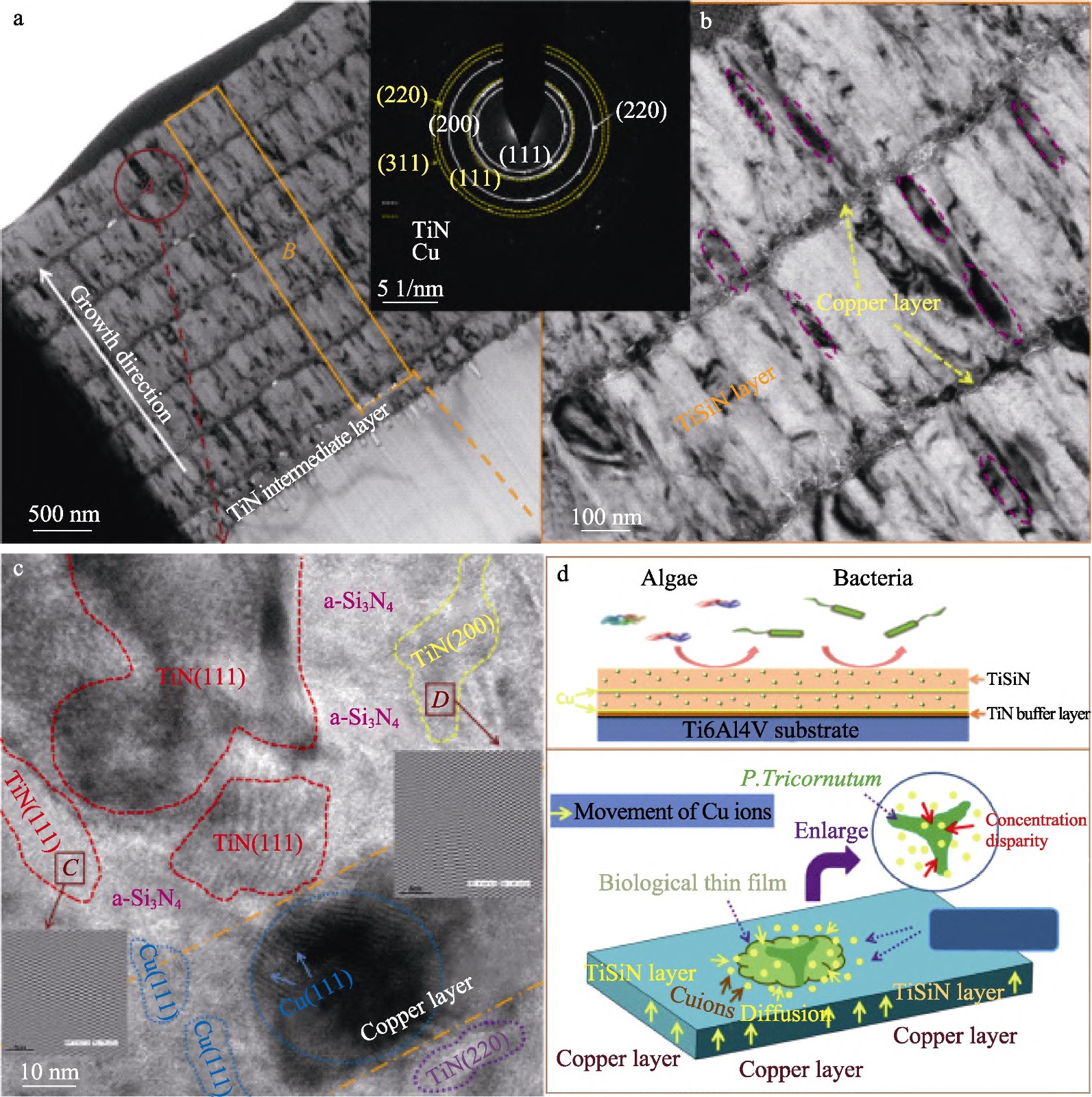 海洋環(huán)境鈦金屬的應(yīng)用現(xiàn)狀及其防護技術(shù)研究