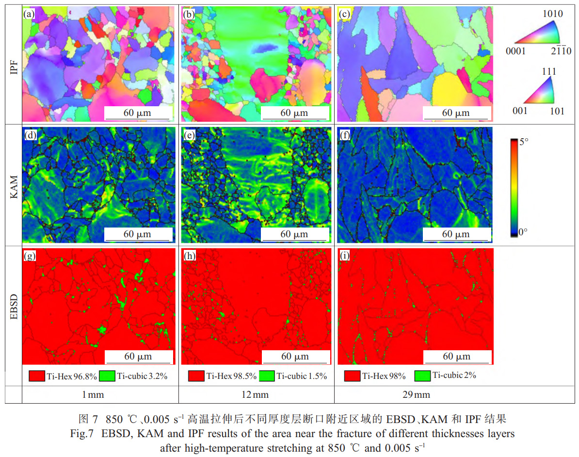 面向船舶大型殼體件的TC4鈦合金厚板精密熱壓成形技術(shù)研究——解析厚向組織不均勻性對(duì)成形性能的影響，通過應(yīng)力松弛-回彈耦合模擬優(yōu)化保壓參數(shù)，實(shí)現(xiàn)±2mm形狀公差的高精度成形