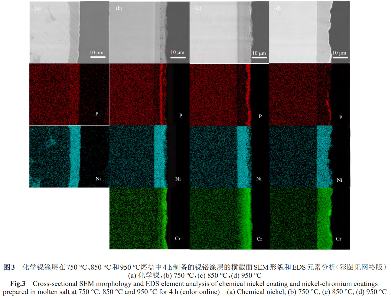 高純鎢基體兩步法制備鎳鉻高溫抗氧化涂層工藝探究：化學(xué)鍍鎳預(yù)處理與熔鹽熱擴(kuò)散溫度梯度調(diào)控對(duì)涂層微觀形貌、元素分布及界面結(jié)合強(qiáng)度的影響機(jī)制解析