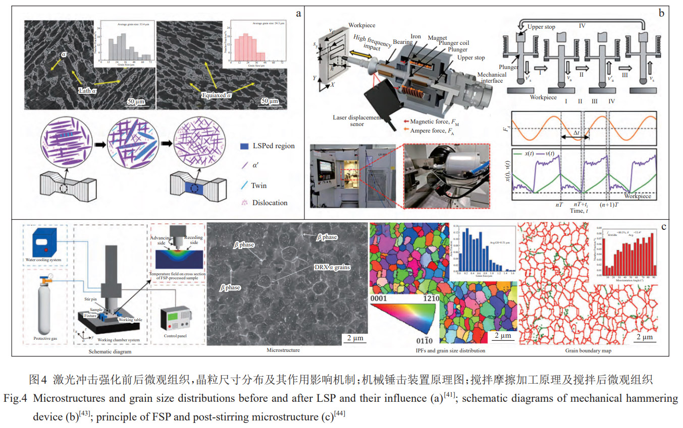 增材制造TC4合金微觀組織等軸化精準(zhǔn)調(diào)控研究進(jìn)展——從微合金元素?fù)诫s外場物理干預(yù)到熱處理工藝優(yōu)化，系統(tǒng)解析晶粒細(xì)化與等軸化內(nèi)在規(guī)律