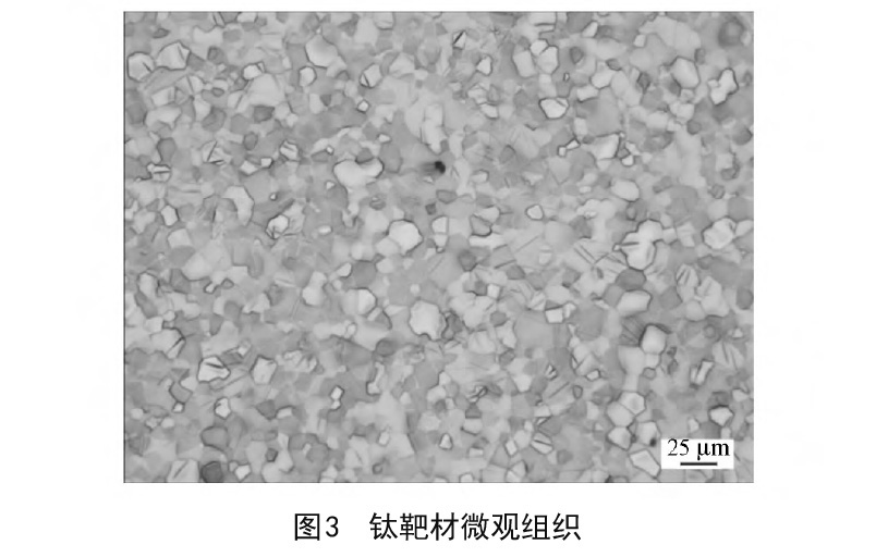 1646297577770189.jpg t3.jpg