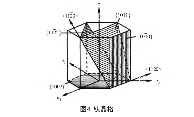 1646297586504938.jpg t4.jpg