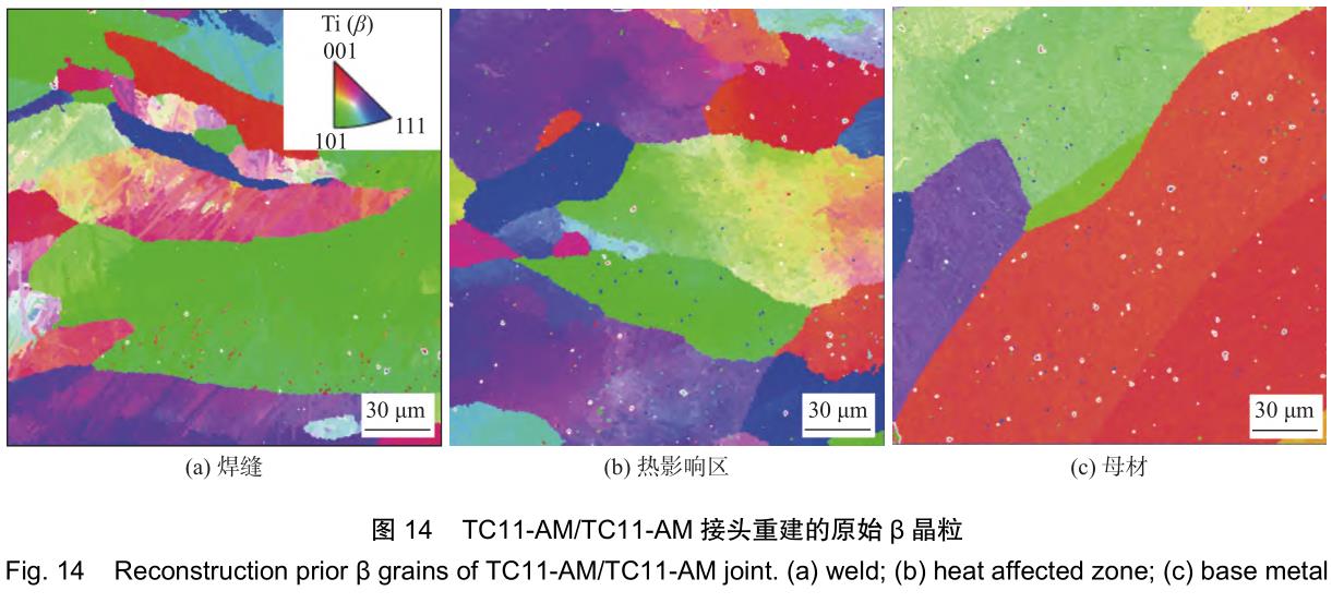 1706223039360924.jpg t14.jpg