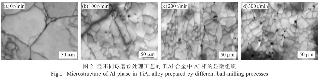 1708253379361297.jpg t2.jpg