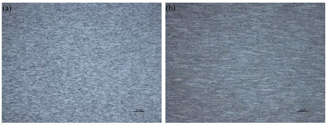 1711022783935823.jpg 3.jpg