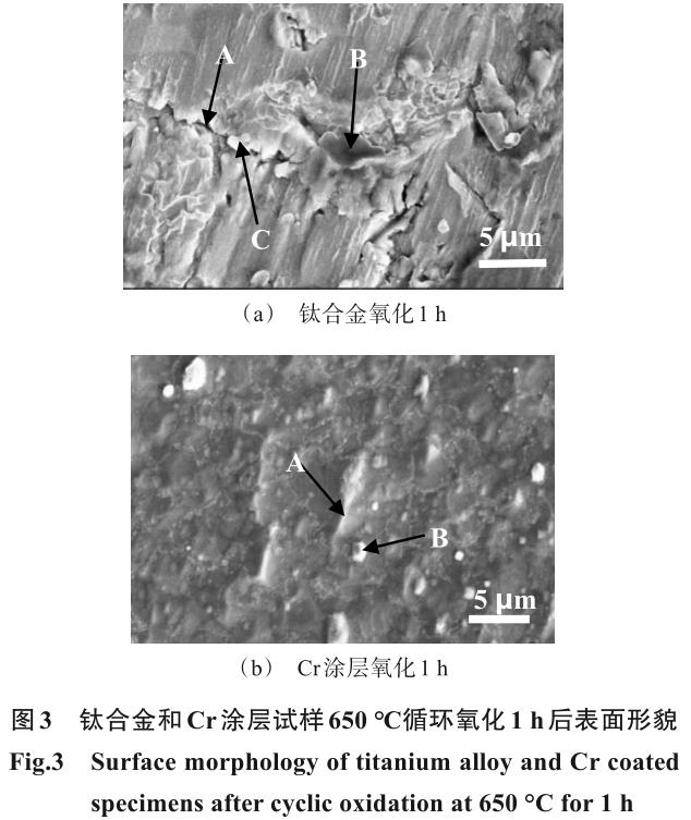 1721725738409278.jpg 360截圖16390405345467.jpg