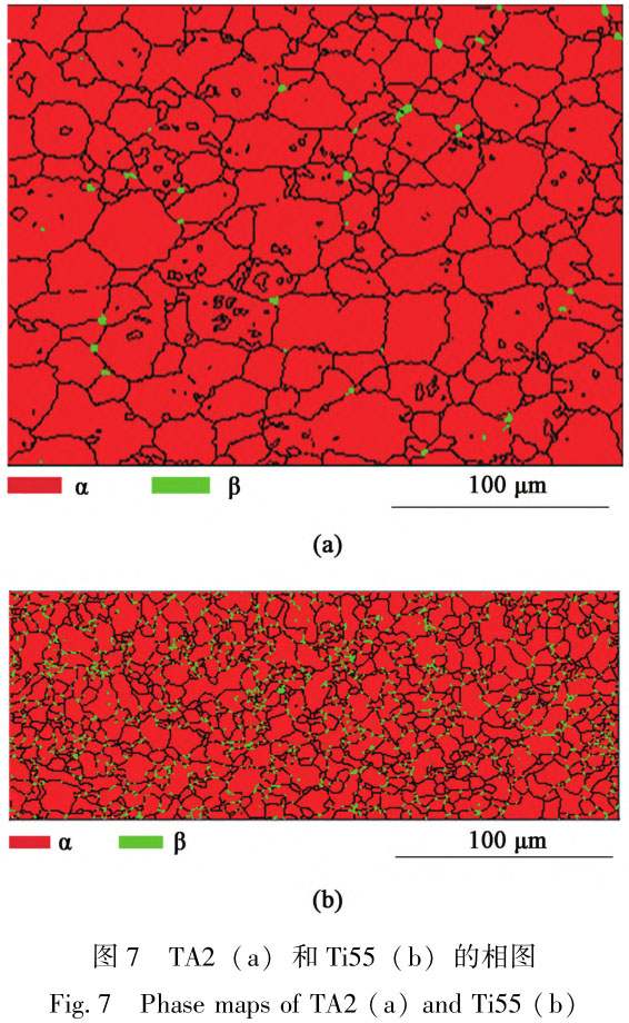 1722830184194258.jpg t7.jpg