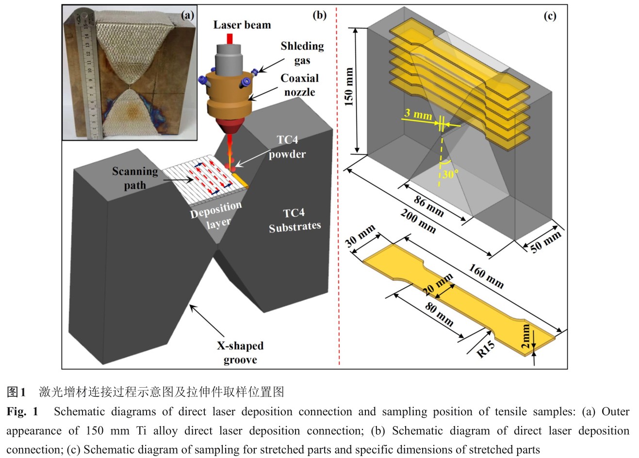 1725354873766867.jpg t1.jpg