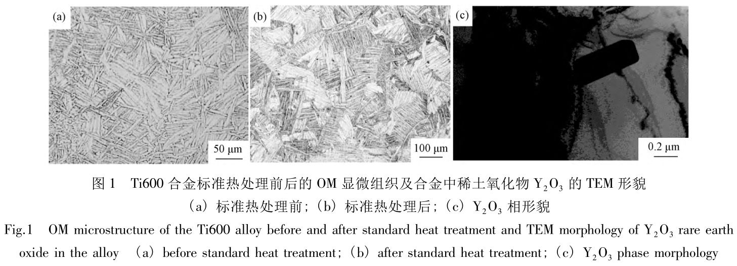 1727927686198437.jpg t1.jpg