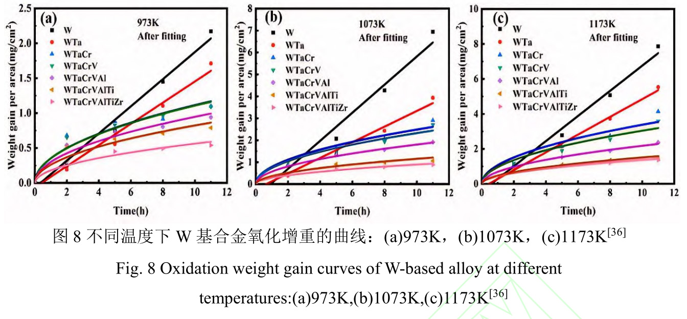 1728214227647591.jpg t8.jpg