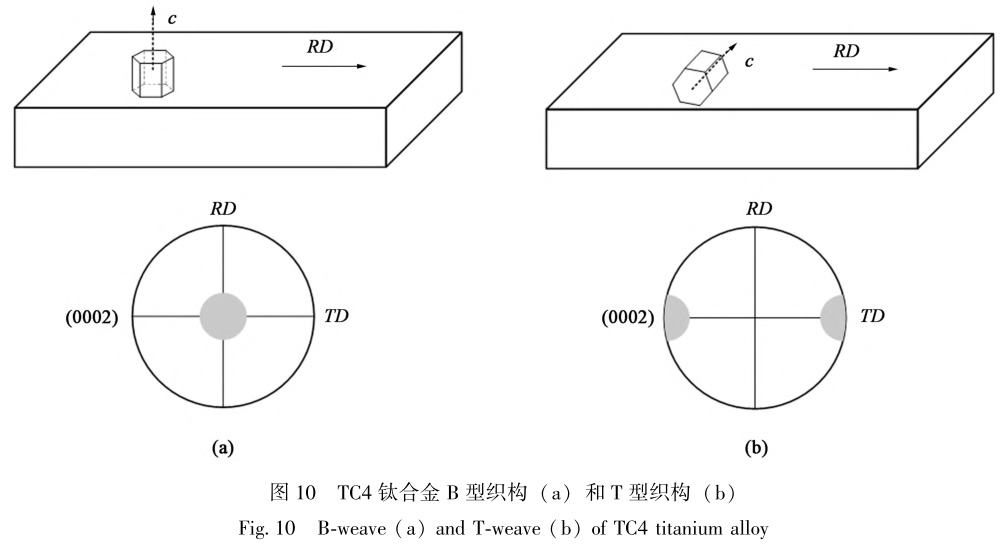 1729324380325835.jpg t10.jpg