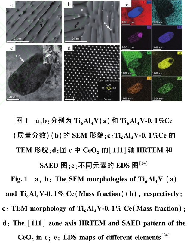 1731228938209823.jpg 1.jpg