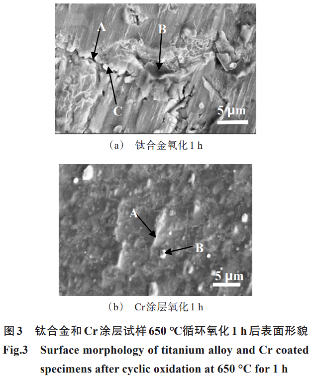 1739528985576451.png 截圖20250214182814.png