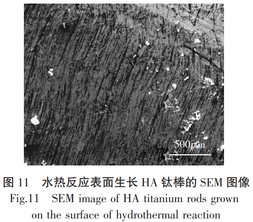 1763948778252348.png 截圖20251124094301.png