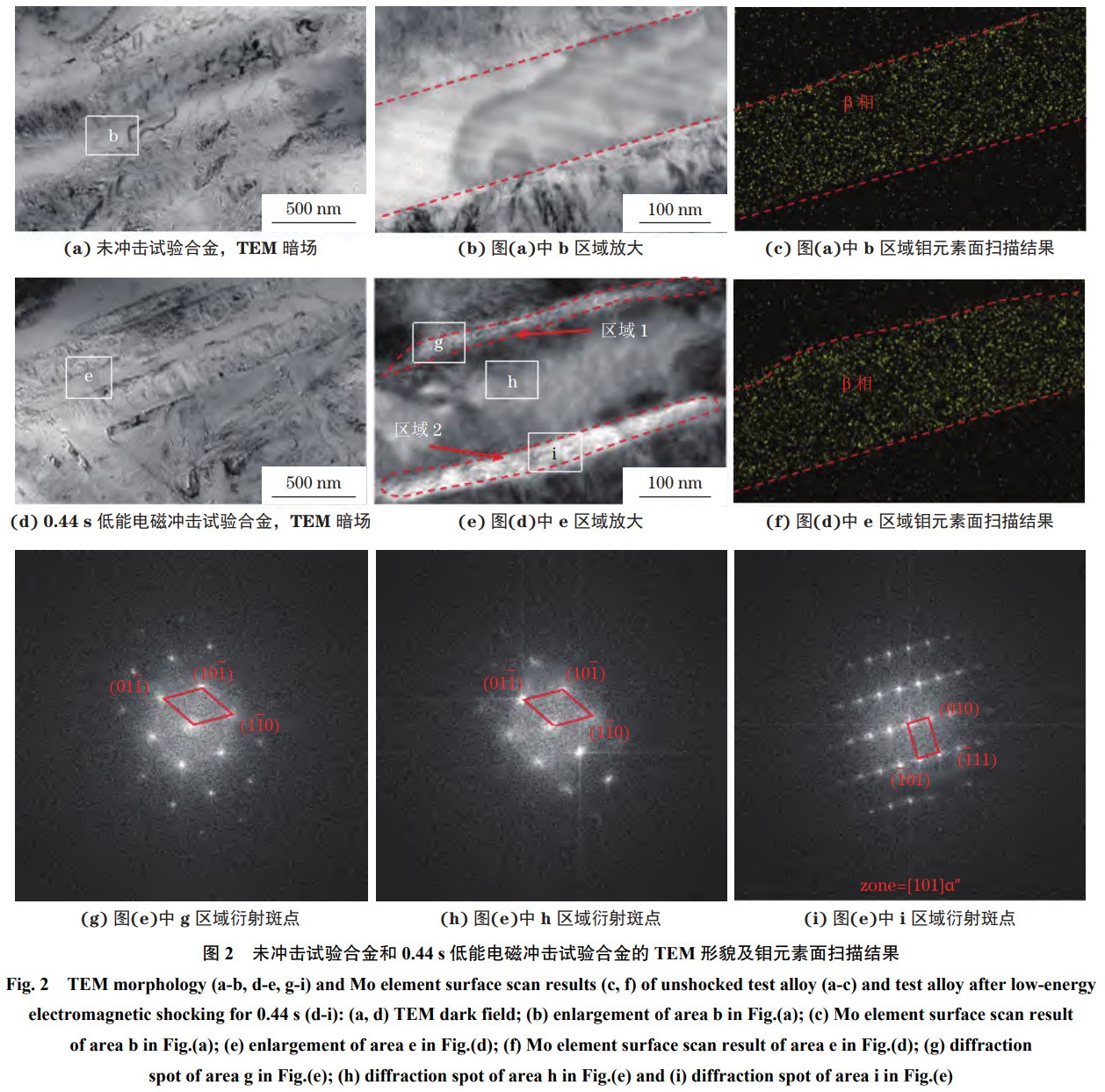 1765507064920061.jpg 未標(biāo)題-1.jpg