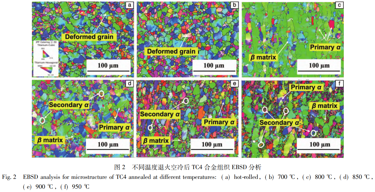 1768188304305372.png 截圖20260112111604.png