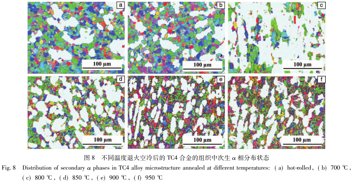 1768188377437968.png 截圖20260112111836.png