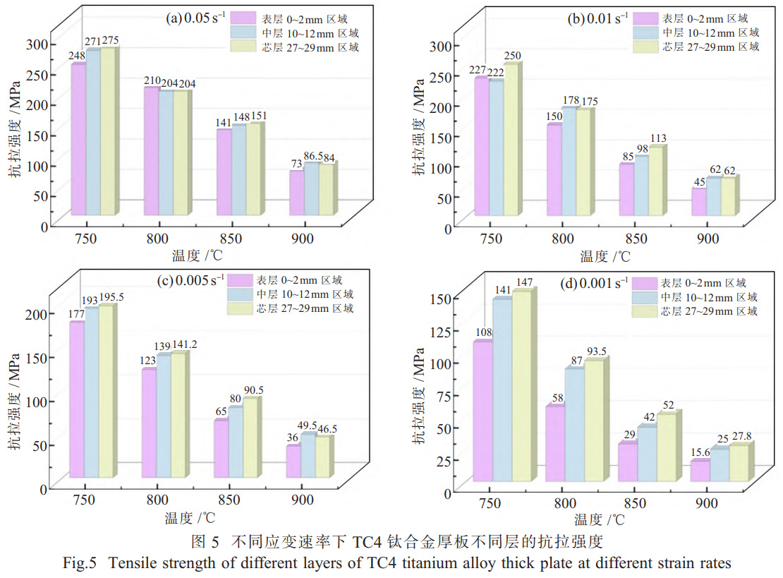 1768356666186787.jpg 5.jpg