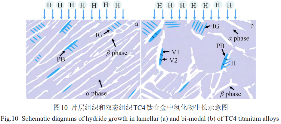 1774945835317566.png 10.png