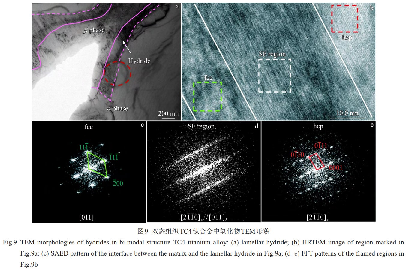 1774945844738724.jpg 9.jpg