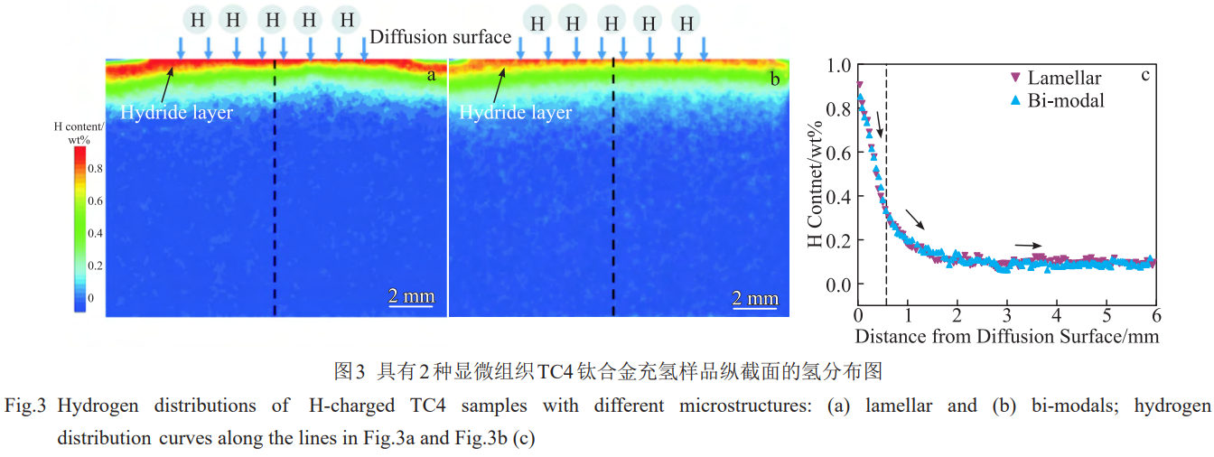 1774945953827554.png 3.png