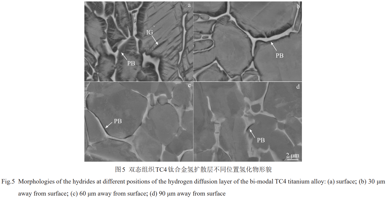 1774945973132954.png 5.png