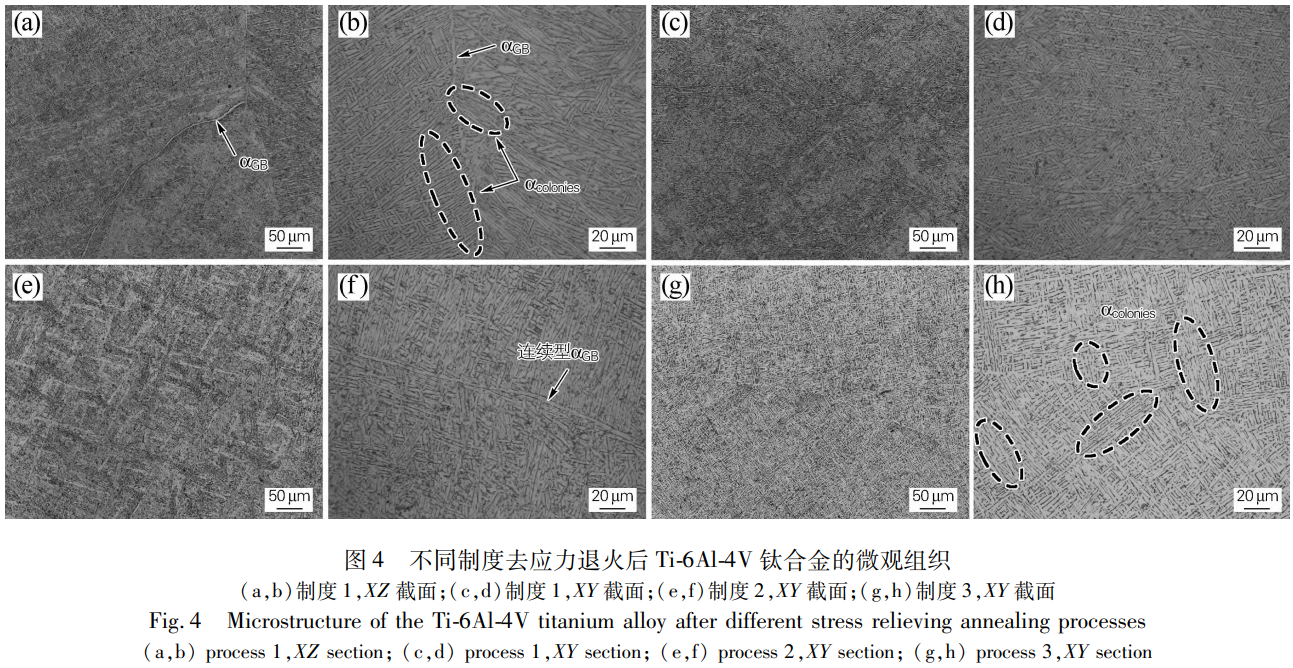 1776156611386416.png 4.png